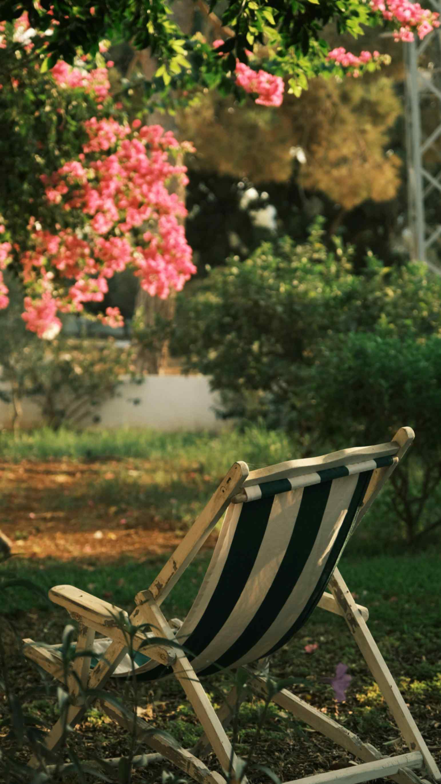 Лежак Комфорт